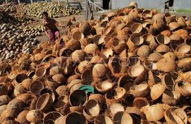 Arang Tempurung Kelapa